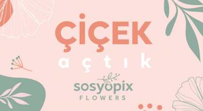 sosyopix Flowers çiçek önerisi