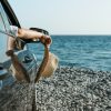 tatil rotalari blog